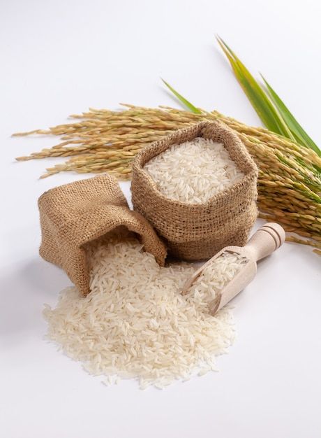 Rice & Grains